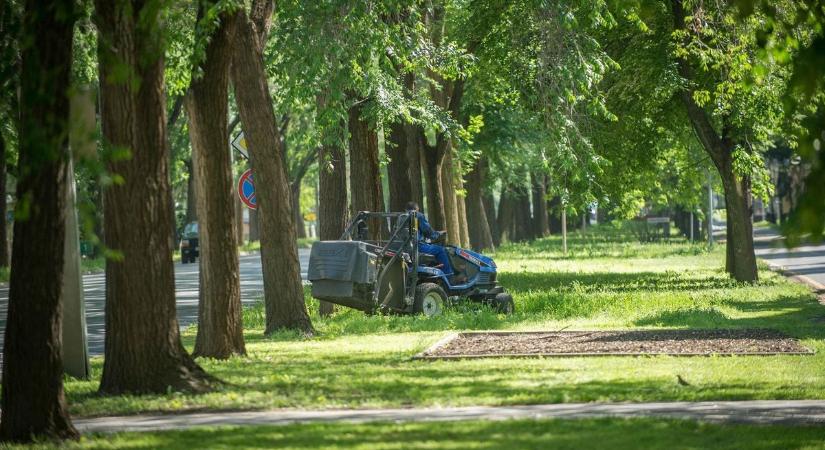 Hajdúszoboszló és Nádudvar is csatlakozott a Vágatlan május mozgalomhoz