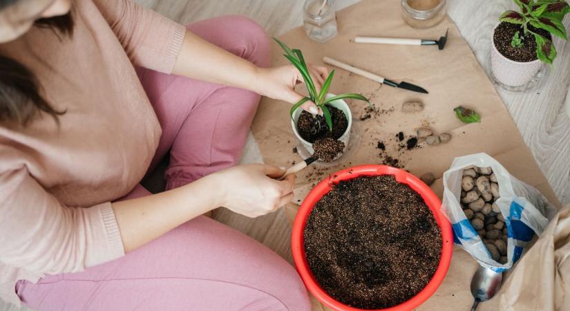 Nehogy kidobd! Ennyi mindenre lehet még jó a régi virágföld