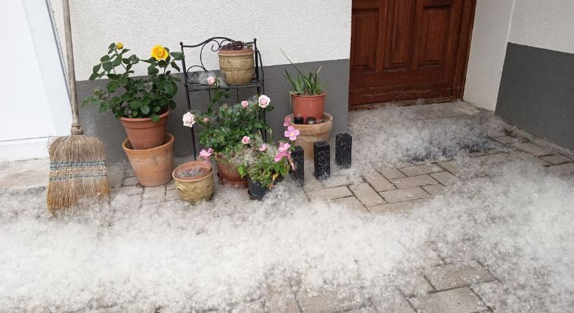 Pokollá teszi a mindennapokat a szálló szösz, egyre feszültebbek a makóiak