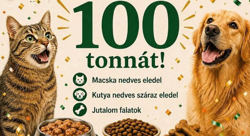 Óriási mérföldkövet ért el az első Magyar Állatvédelmi Élelmiszerbank