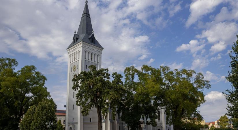 Hajdúböszörményi lehet az év fája