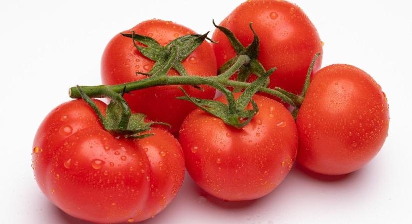 Fürtös paradicsom és kaliforniai paprika akció