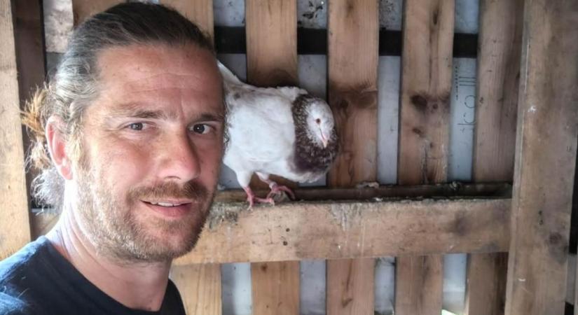 Többet tudnak, mint a hibridek? Ezért választotta egy fiatal tenyésztő a magyar tyúkokat