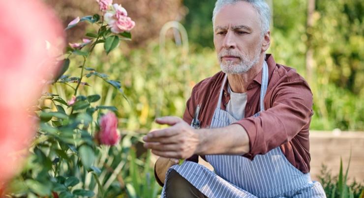 Csak ezek a radikális változtatások menthetik meg a nyugdíjrendszert?