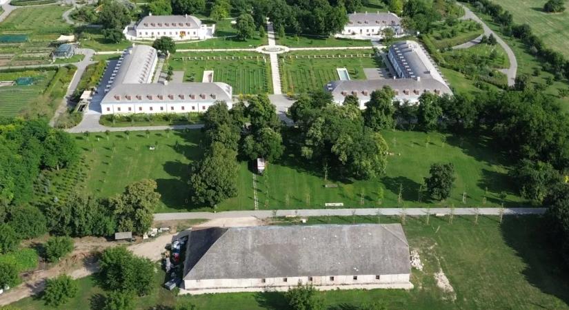 Dolgoztam Anikó nénivel, virágokat ültettünk – hatvanpusztai munkájáról mesélt egy férfi