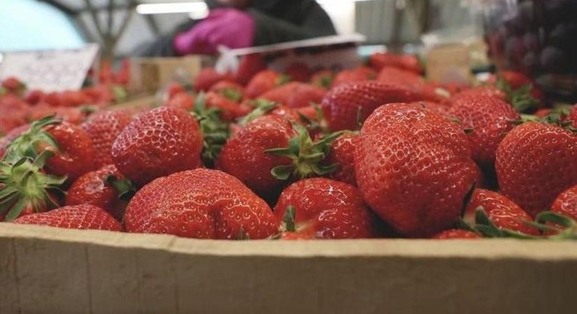 Veszélyes lehet az eper? Ezt a hibát követik el a legtöbben a gyümölcsmosásnál