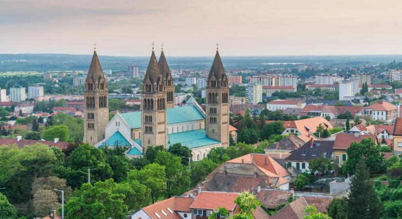 Kígyók miatt riasztják a szakembereket Pécsen