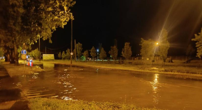 Riasztás! Kismiska volt a tegnapi a maihoz képest?