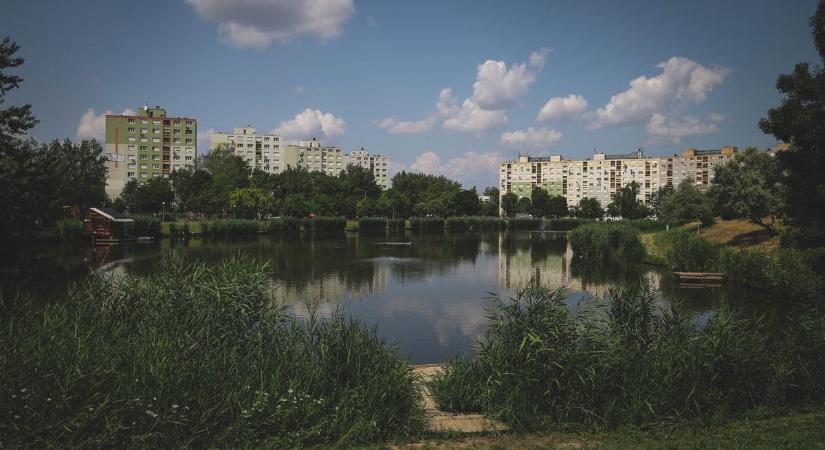 Piknik a Vértónál