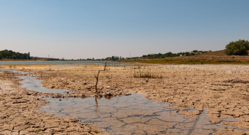 Apad a Tisza, de most tényleg: történelmi mélyponthoz közelít a vízállás  Videó