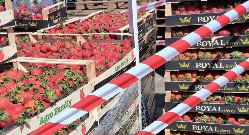 Penészes, romlott gyümölcsöt árulókra csapott le a hatóság – súlyos veszélyforrást számoltak fel
