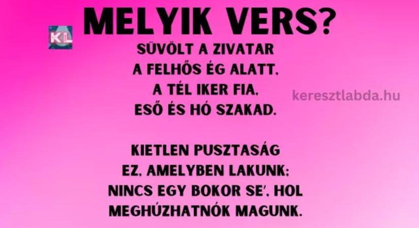 Napi irodalom feladat: Süvölt a zivatar, nincs egy bokor se, felismered, kinek a verse?