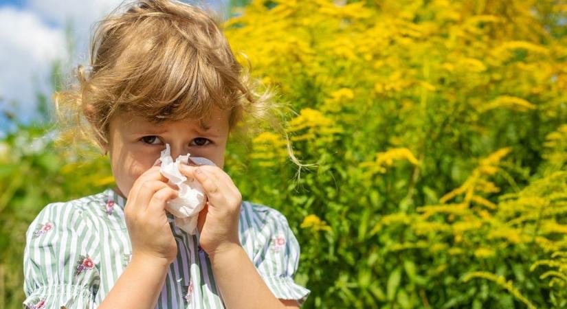 Ég a szem, folyik az orr, görcsöl a has? Meglepő bajokat okozhat a pollen