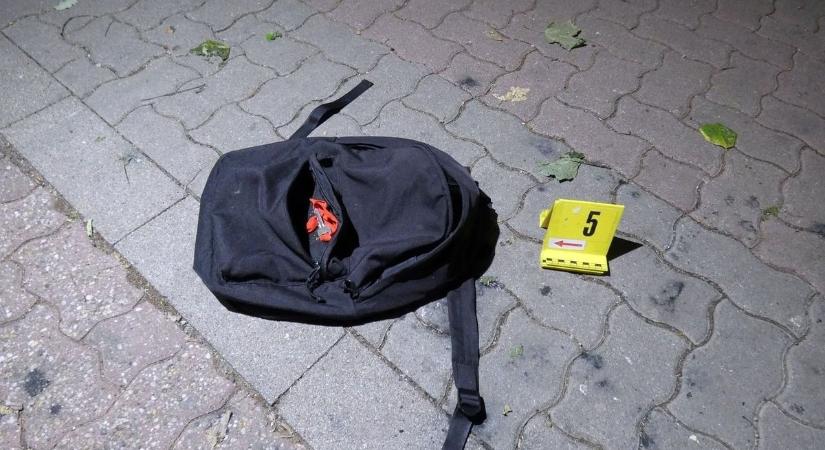 Brutális támadás a Parkerdőben – 5 fiatal verte meg és rabolta ki áldozatát