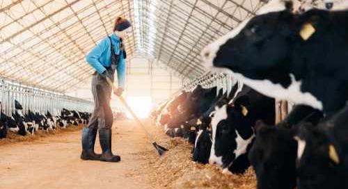 KSH: május 15-én indul az Agrárium 2026 összeírás