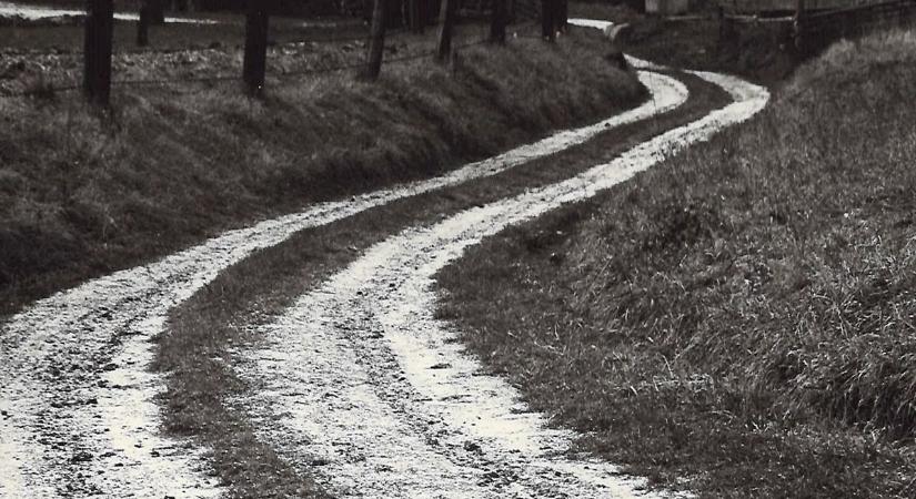 Ki ölte meg O. Imrét? A vádlott a tárgyaláson mindent tagadott (3. rész)