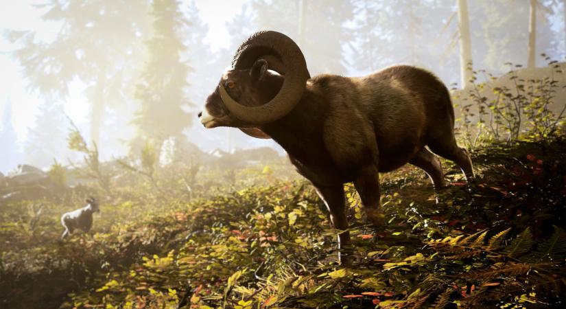 Játékmenet videón a Hunting Simulator 3
