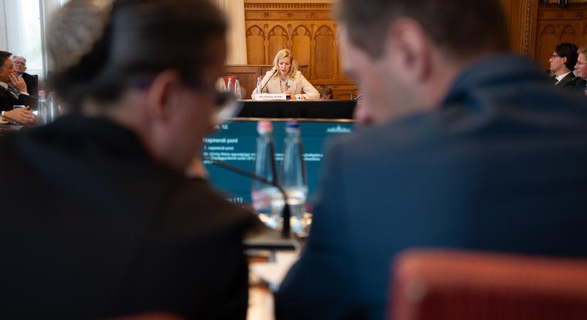 Görög Márta: Áttekintjük a választási rendszert