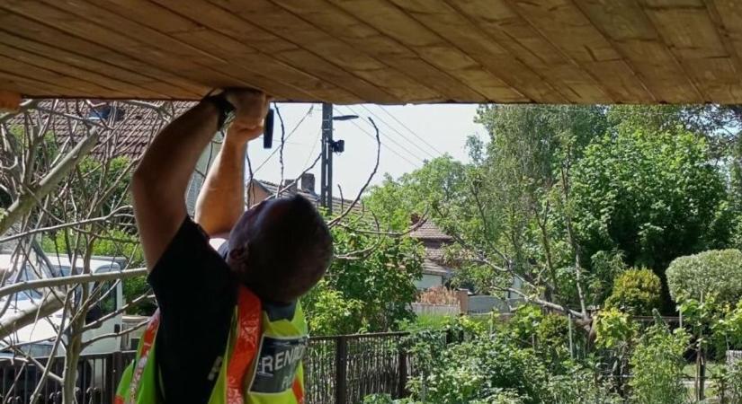 Nem mindennapi akciót hajtottak végre a rendőrök Balatonfenyvesen