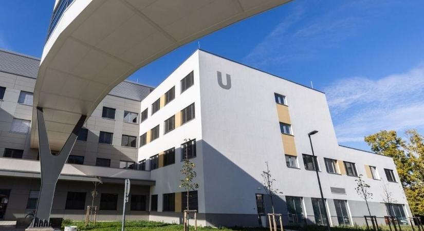 Dr. Ernyey Zoltán orvosigazgató nyugdíjba ment – kollégái és betegei is hálával búcsúznak