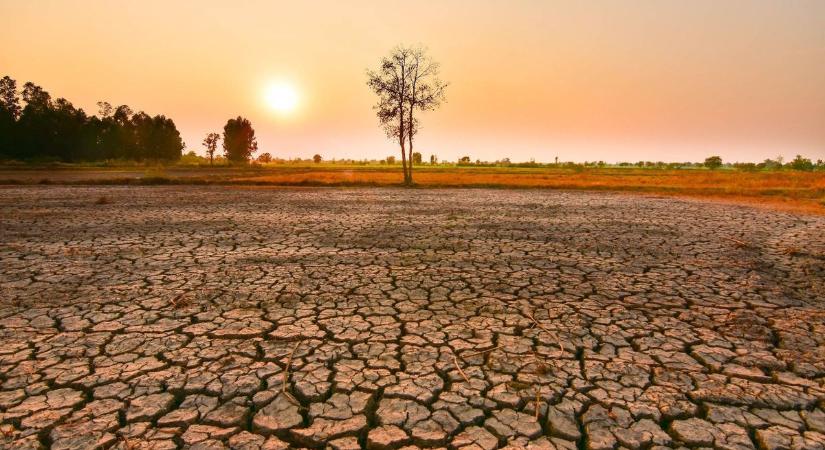 Biztosan eléri az El Niño Magyarországot is: milyen időjárás vár ránk? Szakértő válaszol