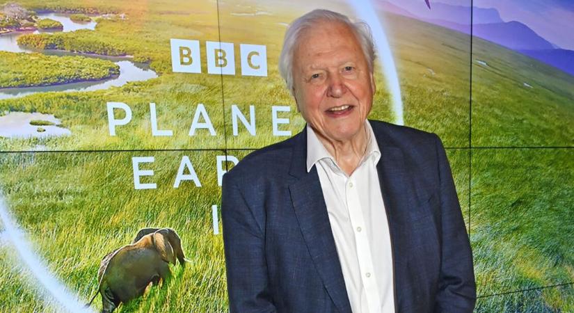 A hosszú élet 4 titka: erre esküszik a százéves David Attenborough