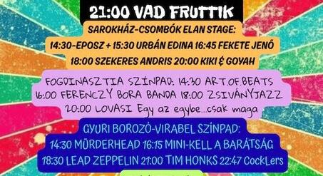 XII. Vagabond Korzó