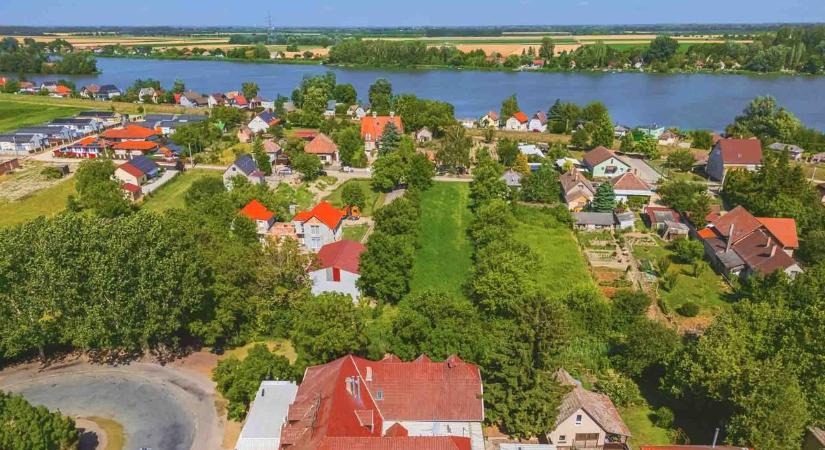Tetemek lepték el a Ráckevei-Dunát: tonnaszám emelik ki az elpusztult halakat