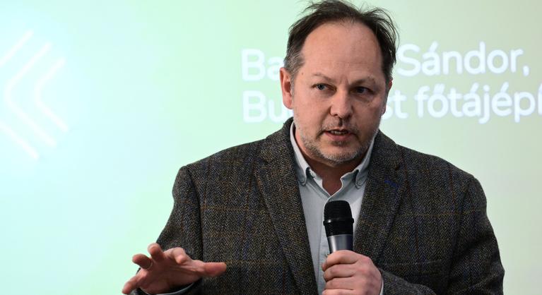 Gyilkosnak nevezték Budapest főtájépítészét a Városmajorban kivágott fák miatt