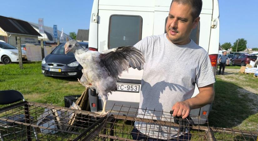 Megújulhat a legendás kisbéri piac: itt vannak az első látványtervek
