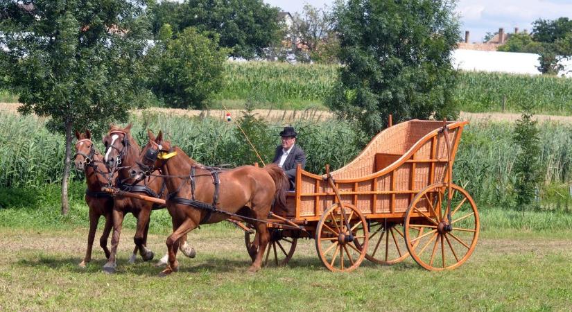 10 meghökkentő tény, amit kevesen tudnak a kocsi kocsiról