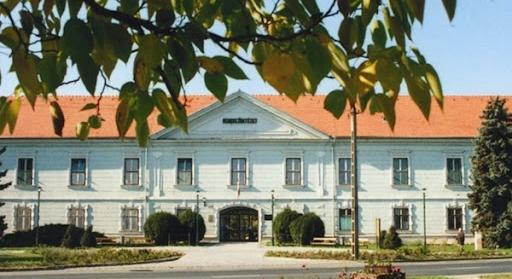 Botrány Enyingen: 11 perc alatt lefejezte magát a város vezetése