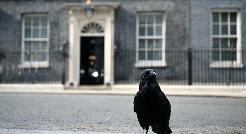 Ha túl is éli a mostani vihart, politikai élőhalott a brit kormányfő