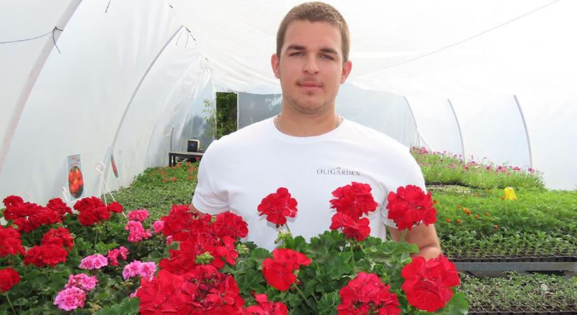 Pászli Olivér tudatosan építi gazdaságát, technikum után az OliGarden kertészet lesz a munkahelye