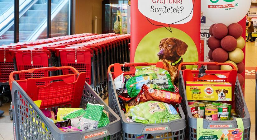 Adj egy falatnyi esélyt! – állateledel-gyűjtés a mentett állatokért az INTERSPAR áruházakban