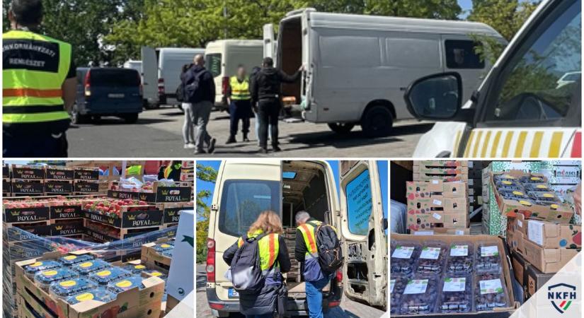 Több mint két és fél tonna gyümölcsöt semmisítenek meg a hatóságok! Mutatjuk, miért