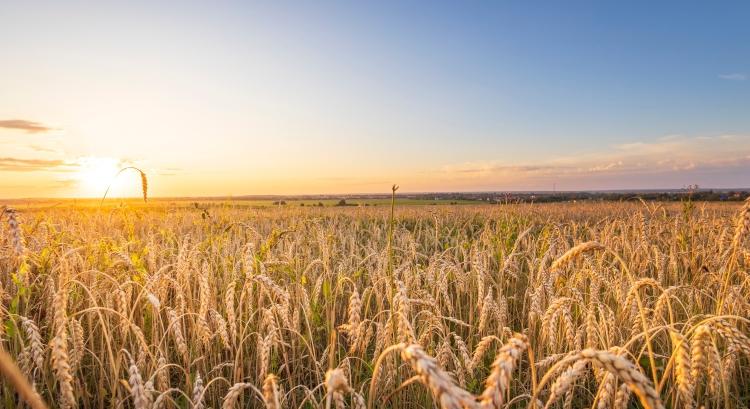 Május 15-től indul a nagy agrárösszeírás