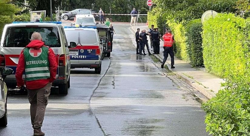 Ítélet született az osztrák férfi ügyében, aki lelőtte a magyar betörőt