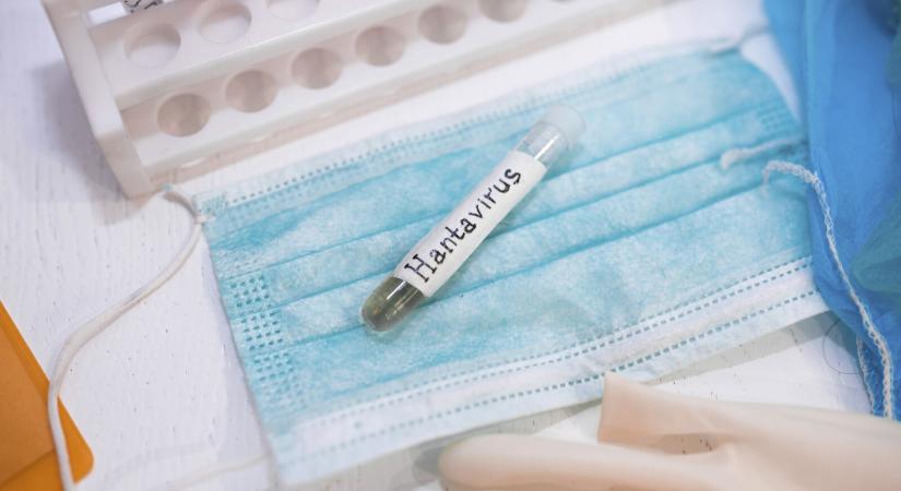 Emberről emberre is terjedhet a hantavírus – Jelenleg nincs engedélyezett gyógyszer vagy vakcina ellene