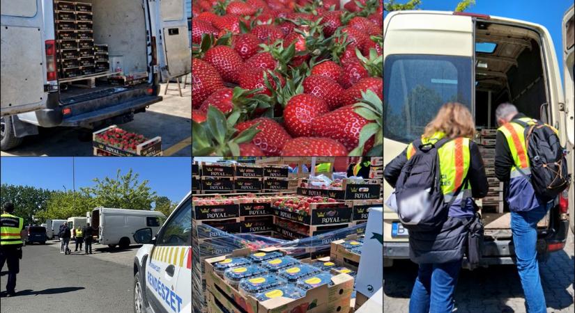 Razzia a parkolóban: a szabolcsi „feketeárusok” sem dőlhetnek hátra, bármikor lecsaphatnak rájuk