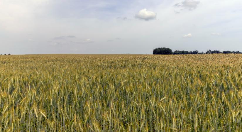 Megszólalt Bóna Szabolcs agrárminiszter: ezek lesznek az első intézkedései, leszámolnak az üres ígéretekkel