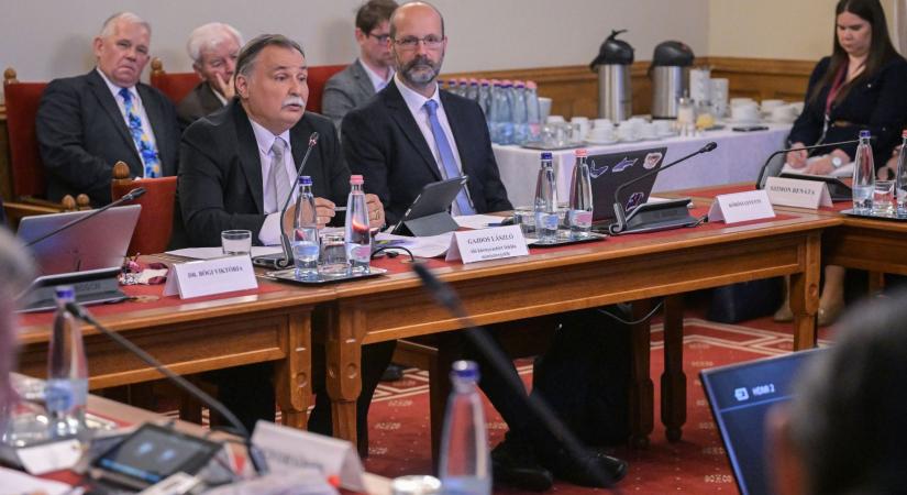 Gajdos László azonnali moratóriumot hirdetett a védett erdők fakitermelésére