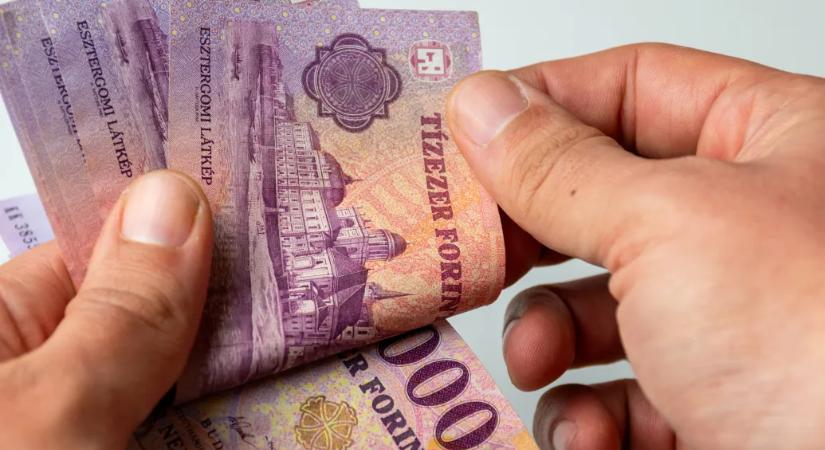 Kiderült, hogy mennyi hasznot hoztak az adófizetőknek az állami tőkebefektetések: szinte semmit