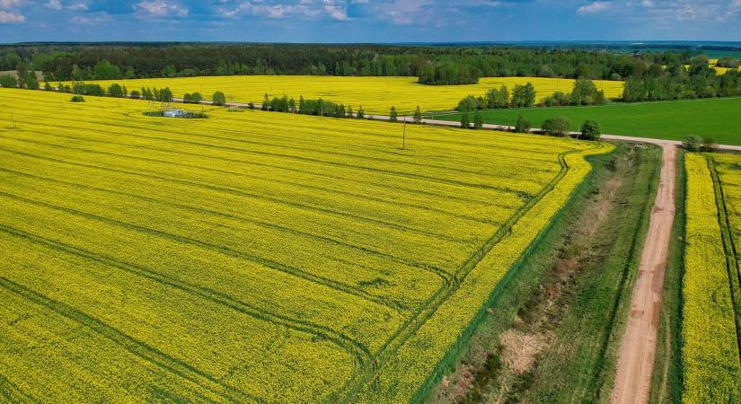 Az Emerson és a Strategic Biofuels megújuló, szén-dioxid-semleges energiát szállít Louisiana államnak