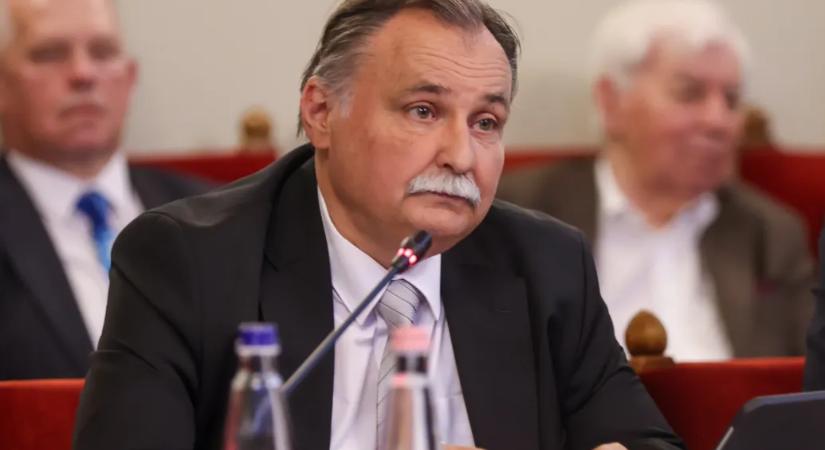Gajdos László azonnal leállítja a fakivágásokat a védett erdőkben