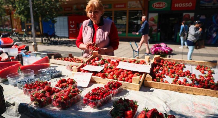 Mi éri meg, és mit hagyj inkább ott? Béleld a tárcád, ilyen árak mennek most az egri piacon