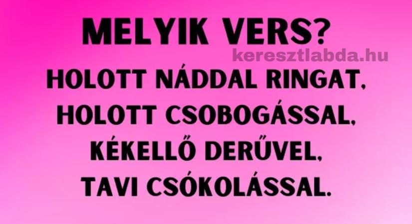 Napi irodalom feladat: Balatonszárszói sorok ringanak, de melyik versre ismersz?