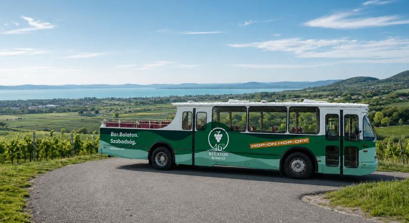 Hop-on hop-off borbusz a Balatonnál – indul a nyár legmenőbb bortúrája