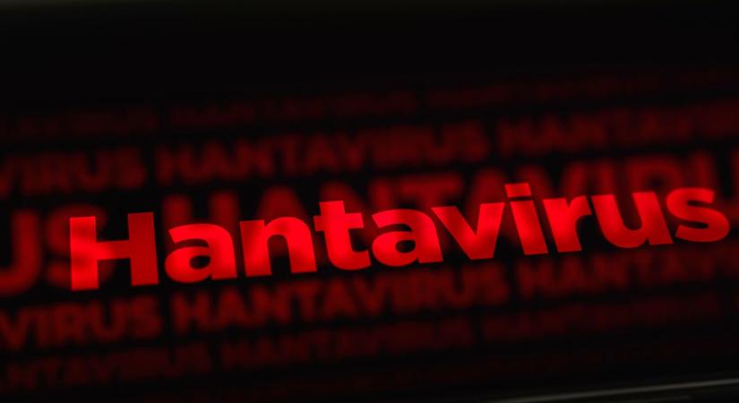 Így válhat a hantavírus még pusztítóbbá a klímaváltozás hatására – Mennyire kell aggódnunk?