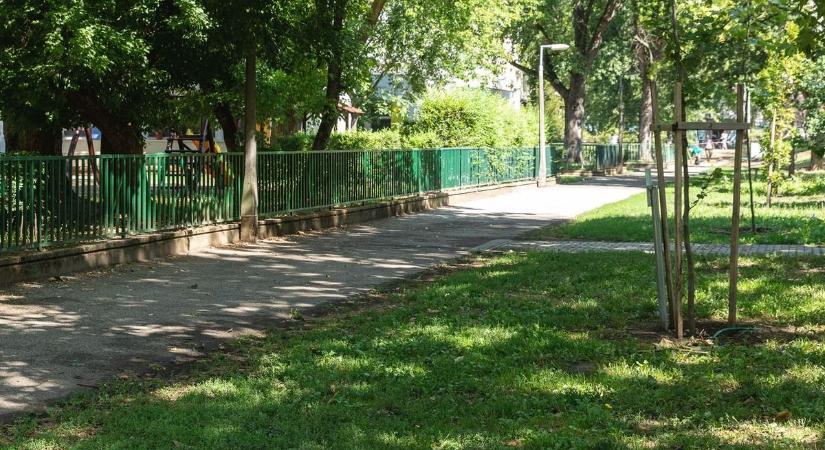 Drámai jelenet a debreceni iskola udvarán: nagy küzdelem árán üldözte el a támadót az anya – videóval